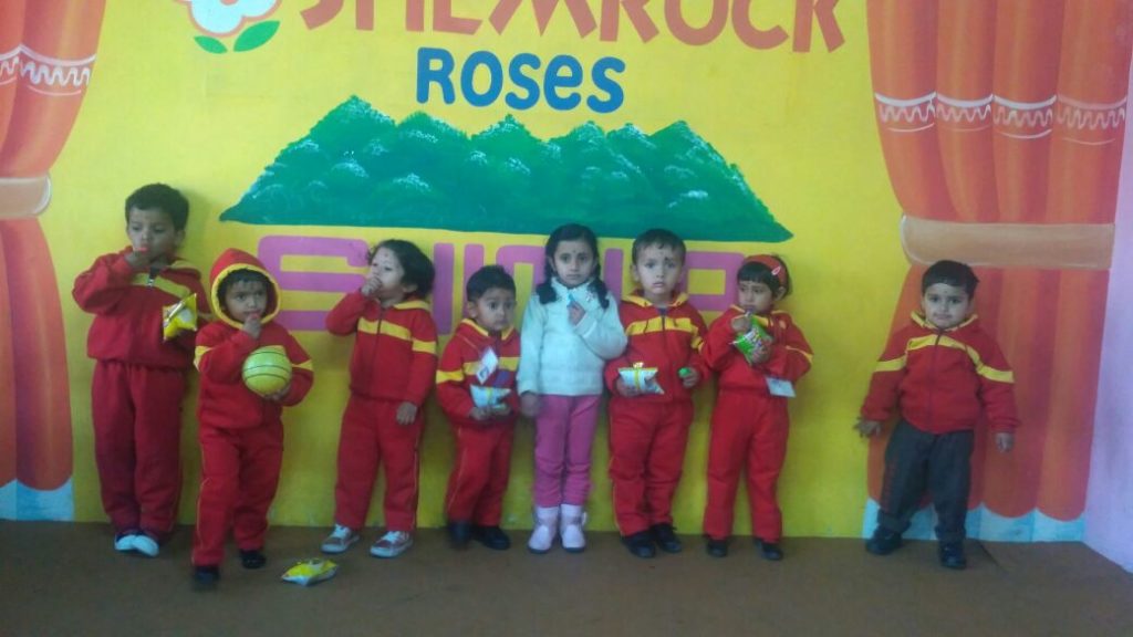 Shemrock Roses School